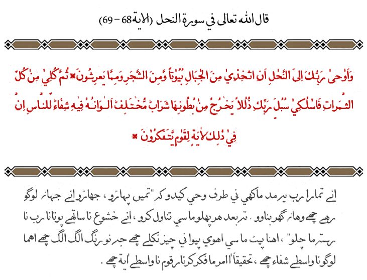 Aqwaal Mubarakah November 2015